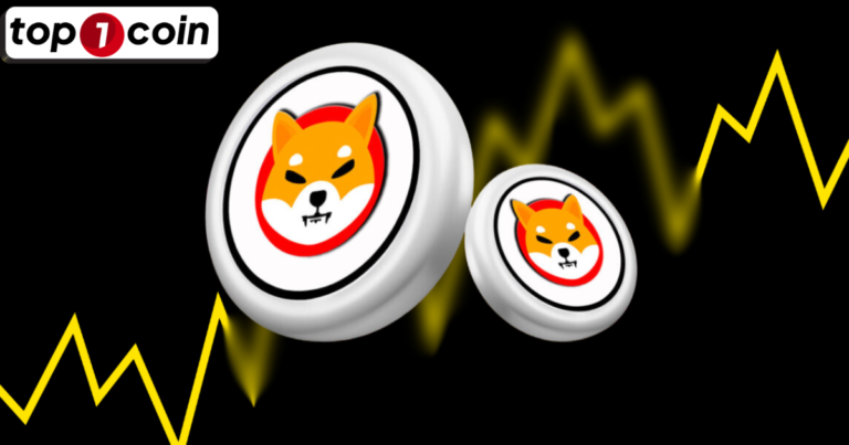 Shiba Coin là gì? Tìm hiểu về Shiba Coin