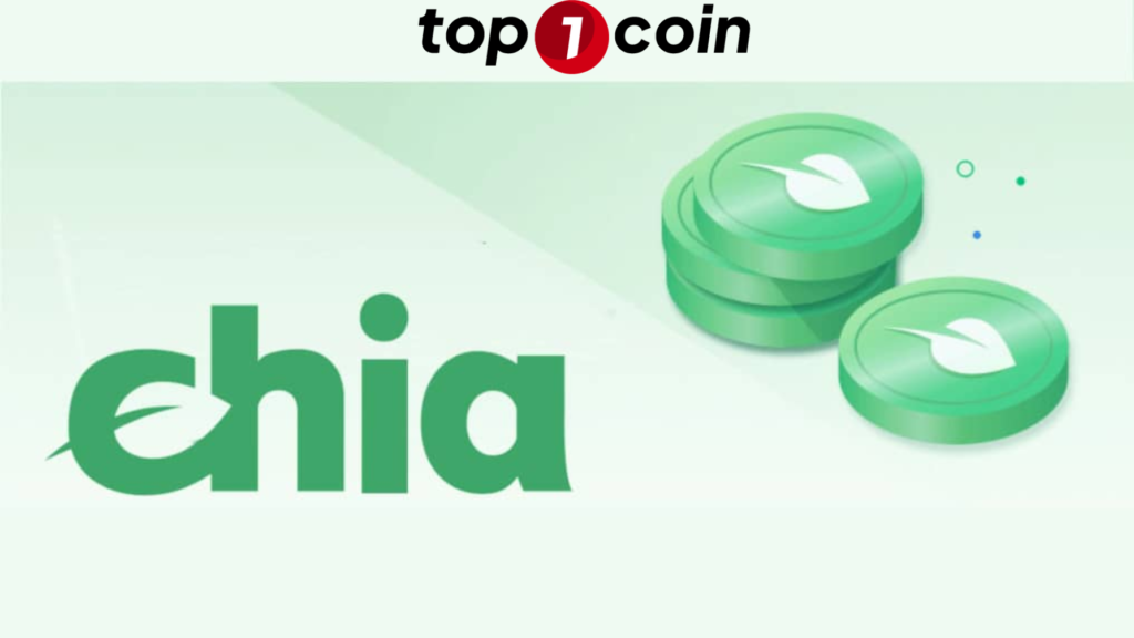 Có nên đầu tư vào Chia Coin