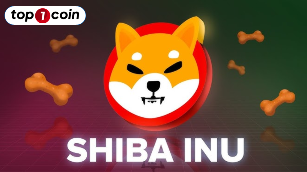 Shiba