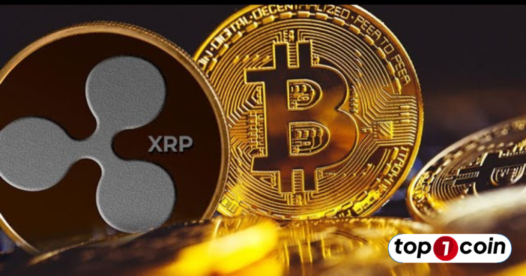 BTC và XRP : Đâu là lựa chọn tốt nhất trong năm 2024 ?