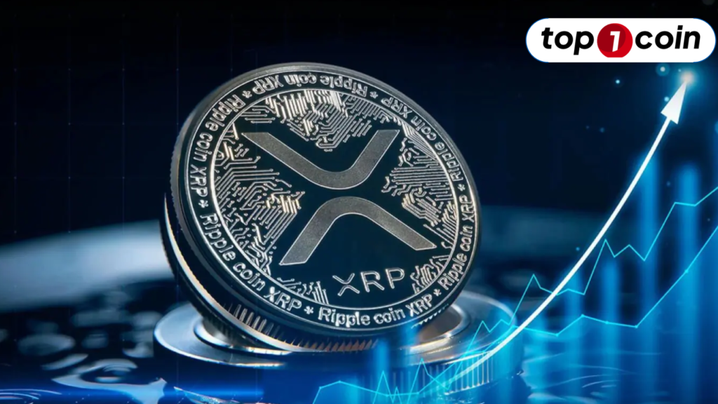 XRP là gì? Tìm hiểu về đồng tiền kỹ thuật số XRP