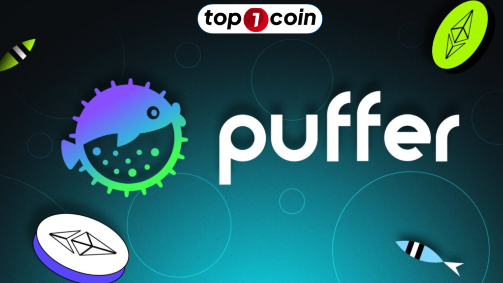 Puffer Finance là gì?