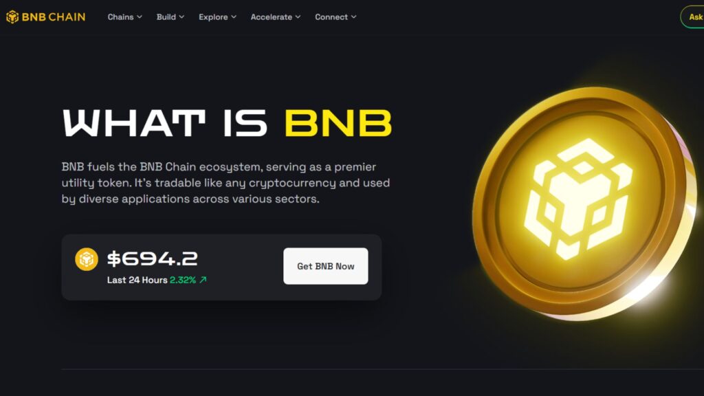 Giao diện trang chủ BNB Chain với tiêu đề What is BNB