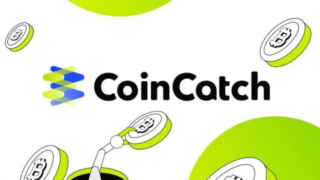 Sàn CoinCatch là gì? Đánh giá CoinCatch chuyên sâu 1 CoinCatch đăng ký tại British Virgin Islands, một khu vực pháp lý thường được nhiều sàn nhỏ lựa chọn do quy định khá lỏng lẻo