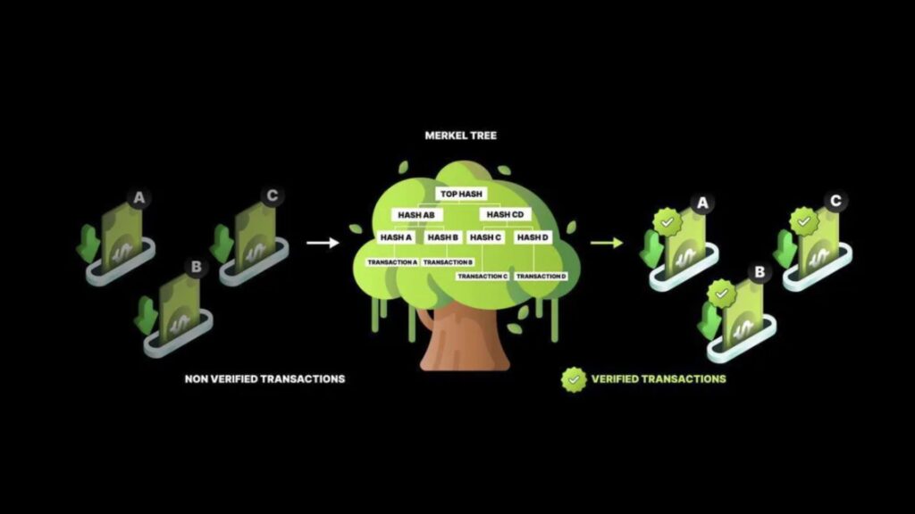 Bitunix cam kết minh bạch và bảo chứng tài sản 1:1 Hệ thống bằng chứng dự phòng ( PoR) dựa trên công nghệ crypto Merkle trees của Bitunix, cam kết minh bạch và bảo chứng tài sản 1:1