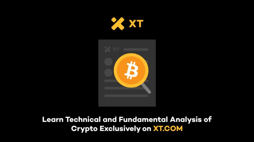 XT.com có nền tảng hoạt động mượt mà, hỗ trợ đa thiết bị từ trình duyệt web, ứng dụng Windows cho tới mobile app trên iOS và Android